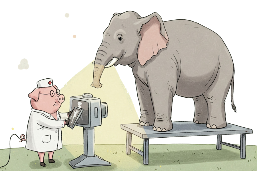 Expert Support: Top experts backing you